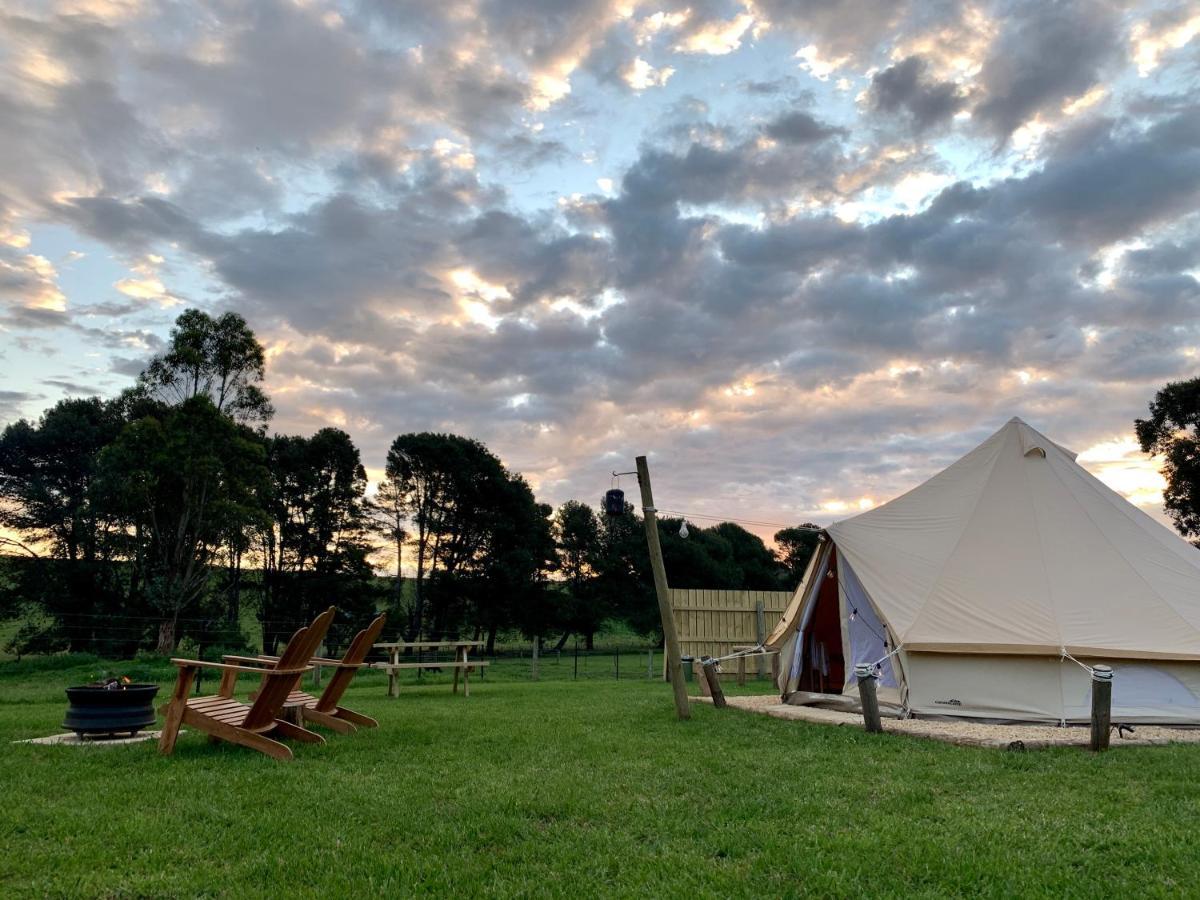 Pine Country Caravan Park マウントガンビア エクステリア 写真